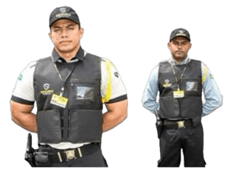Captura_de_tela_2025-02-17_162353-removebg-preview.png